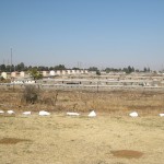 Johannesburg July 2011 021