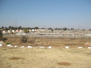 Johannesburg July 2011 021