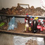 A Traditional Healer's Shop