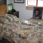 Bedroom in the Mandela Family House