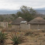 Traditional Swazi huts