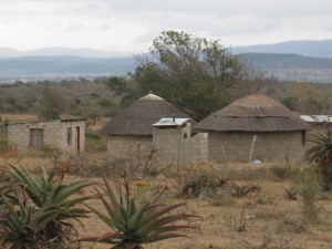 Traditional Swazi huts